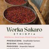 Ethiopia - Worka Sakaro Anaerobic