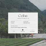 Guatemala - Ceiba